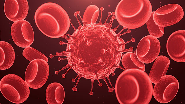 Quebec religious leaders decry heightened coronavirus restrictions on houses of worship