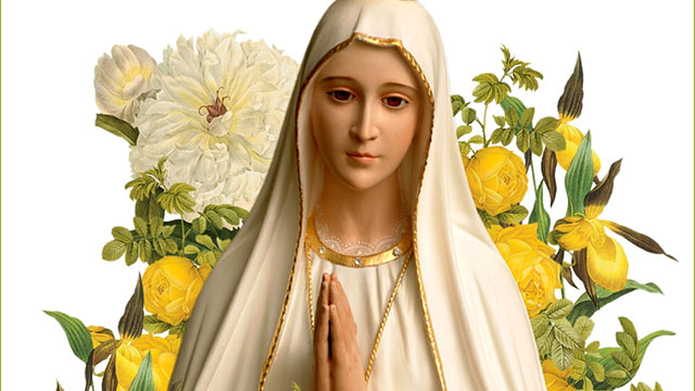 Feb. 11 Wednesday of the Fifth Week in Ordinary Time; Opt Mem of Our Lady of Lourdes, Opt. Mem.